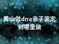 黄山做dna亲子鉴定到哪里做