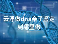 云浮做dna亲子鉴定到哪里做