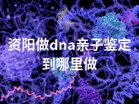 资阳做dna亲子鉴定到哪里做