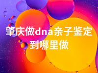 肇庆做dna亲子鉴定到哪里做