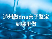 泸州做dna亲子鉴定到哪里做