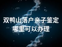 双鸭山落户亲子鉴定哪里可以办理