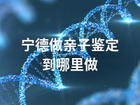 宁德做亲子鉴定到哪里做