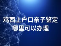 鸡西上户口亲子鉴定哪里可以办理