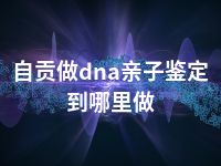 自贡做dna亲子鉴定到哪里做