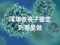 深圳做亲子鉴定到哪里做