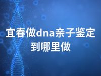 宜春做dna亲子鉴定到哪里做