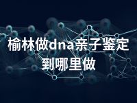 榆林做dna亲子鉴定到哪里做