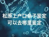 松原上户口亲子鉴定可以去哪里鉴定