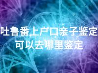 吐鲁番上户口亲子鉴定可以去哪里鉴定