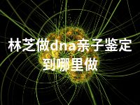 林芝做dna亲子鉴定到哪里做