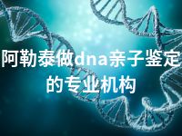 阿勒泰做dna亲子鉴定的专业机构