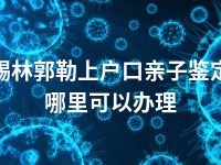 锡林郭勒上户口亲子鉴定哪里可以办理