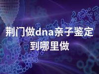 荆门做dna亲子鉴定到哪里做