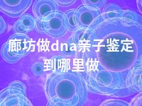 廊坊做dna亲子鉴定到哪里做