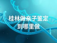 桂林做亲子鉴定到哪里做