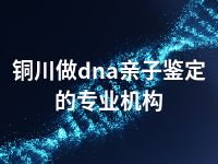 铜川做dna亲子鉴定的专业机构