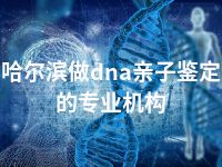 哈尔滨做dna亲子鉴定的专业机构