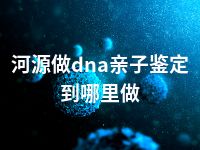 河源做dna亲子鉴定到哪里做