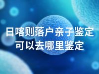 日喀则落户亲子鉴定可以去哪里鉴定