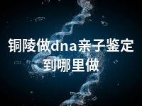 铜陵做dna亲子鉴定到哪里做