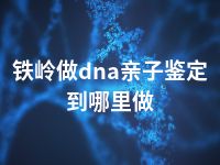 铁岭做dna亲子鉴定到哪里做