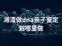 湘潭做dna亲子鉴定到哪里做