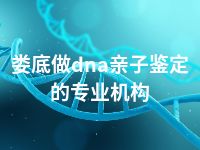 娄底做dna亲子鉴定的专业机构