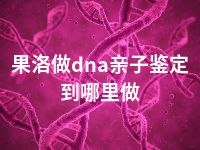 果洛做dna亲子鉴定到哪里做