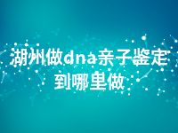 湖州做dna亲子鉴定到哪里做