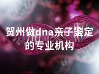 贺州做dna亲子鉴定的专业机构