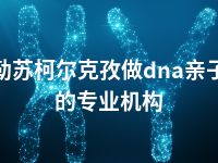 克孜勒苏柯尔克孜做dna亲子鉴定的专业机构