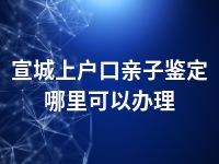 宣城上户口亲子鉴定哪里可以办理