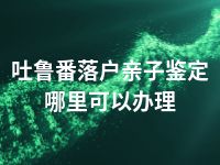 吐鲁番落户亲子鉴定哪里可以办理