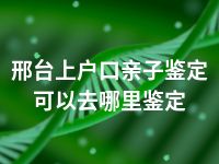 邢台上户口亲子鉴定可以去哪里鉴定