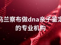 乌兰察布做dna亲子鉴定的专业机构