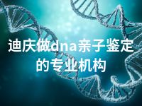 迪庆做dna亲子鉴定的专业机构