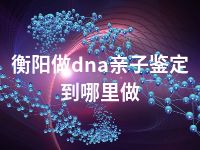 衡阳做dna亲子鉴定到哪里做