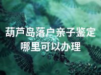 葫芦岛落户亲子鉴定哪里可以办理