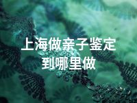 上海做亲子鉴定到哪里做