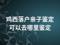 鸡西落户亲子鉴定可以去哪里鉴定