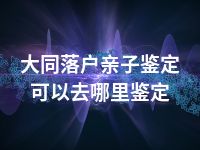 大同落户亲子鉴定可以去哪里鉴定