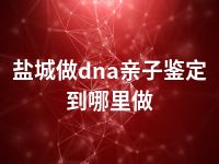 盐城做dna亲子鉴定到哪里做