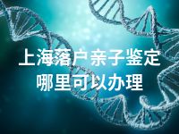 上海落户亲子鉴定哪里可以办理