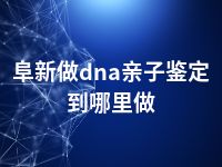 阜新做dna亲子鉴定到哪里做