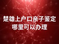 楚雄上户口亲子鉴定哪里可以办理