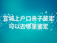 宣城上户口亲子鉴定可以去哪里鉴定