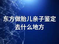 东方做胎儿亲子鉴定去什么地方