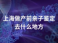 上海做产前亲子鉴定去什么地方