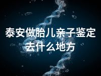 泰安做胎儿亲子鉴定去什么地方